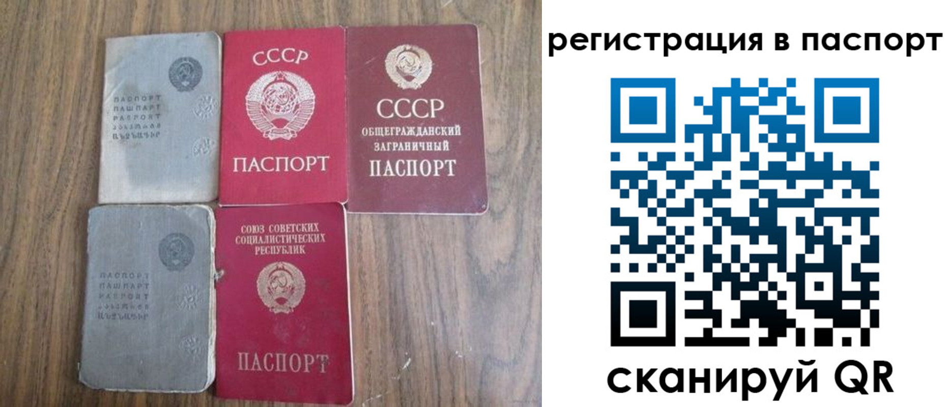 временная регистрация госуслуги в Камчатской области