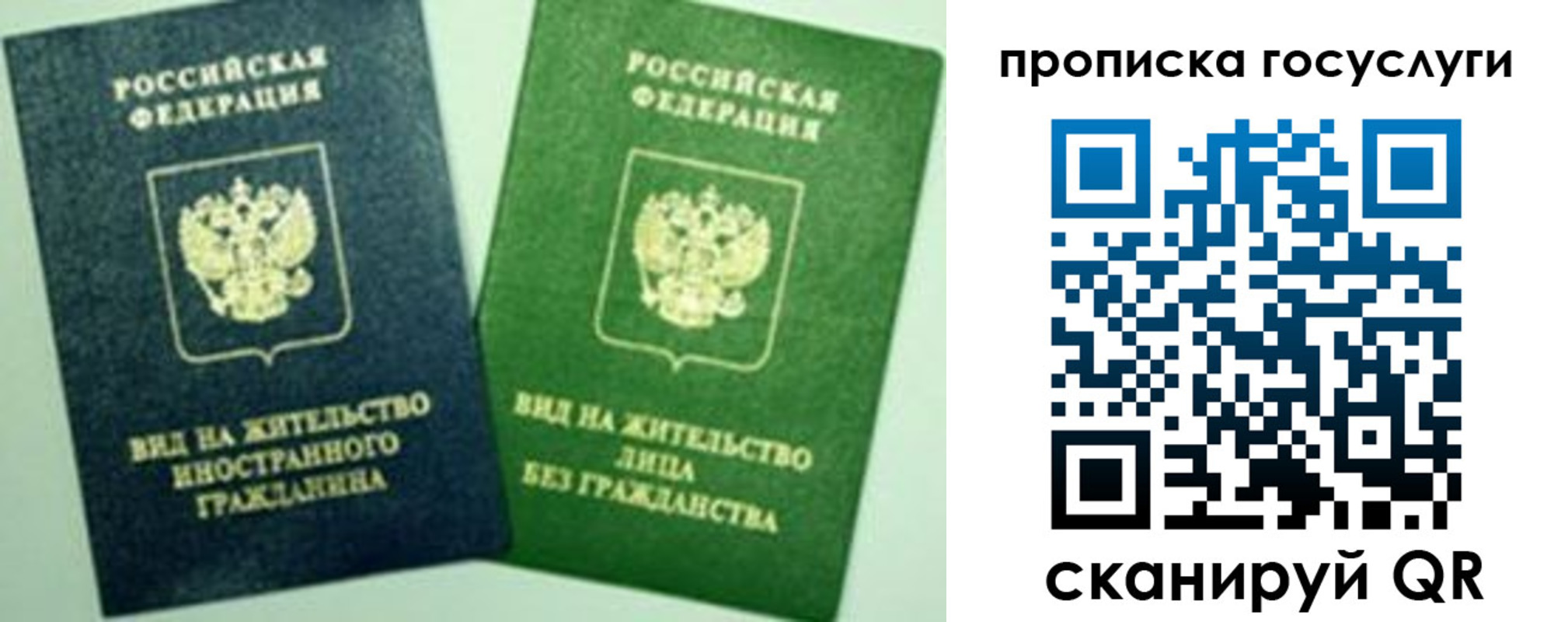временная регистрация недорого в Камчатской области