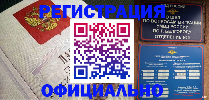 временная регистрация законно в Камчатской области